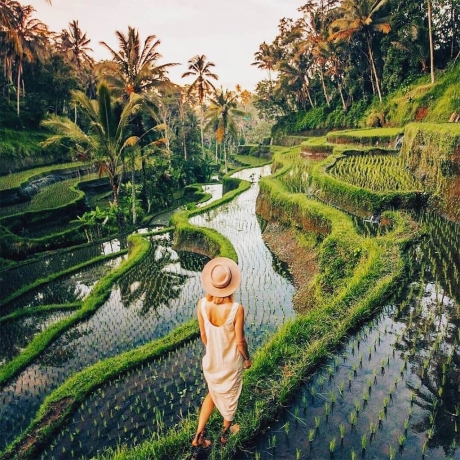 Ubud villas