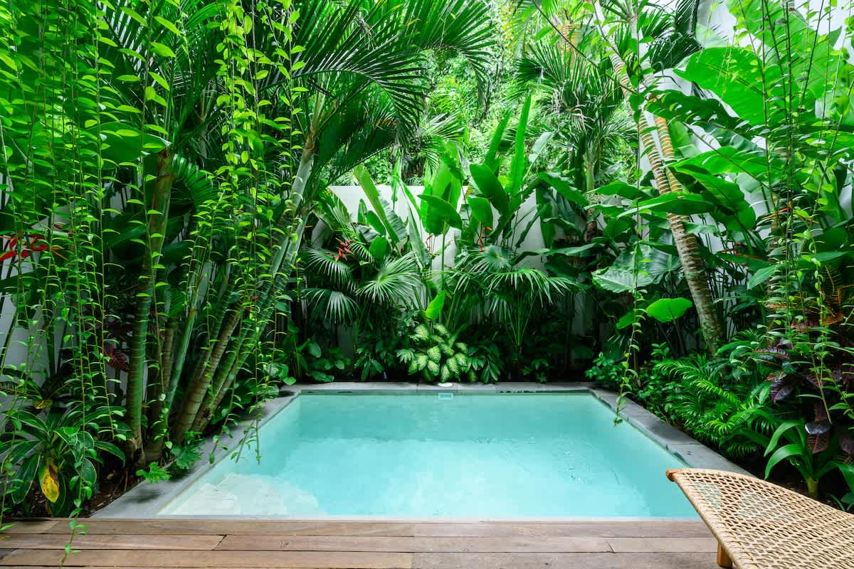 Stylish 2BR Pool Townhouse in Sanur — Pool photo 3